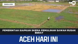 Government Prepares Recovery Scheme for Severely Damaged Rice Fields | Aceh News Today