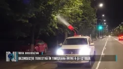 Ground-level pest control in Timișoara between July 6 and 12