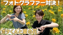 [Summer Highland Photography Battle!] Who Will Win Amidst 100,000 Flowers and 80 Varieties? [Iino...