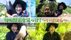 「旬の野菜を見っけ！～いせはら～」かながわ旬菜ナビ 2026/9/5放送
