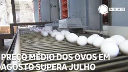 August partial egg price average surpasses July's