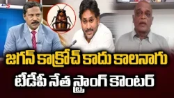 If You Have the Guts, Come to the Assembly.. TDP Sudhakar Reddy’s STRONG Counter to Jagan’s "Cock...