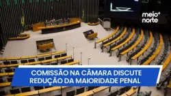 Chamber of Deputies sets up committee to discuss lowering the age of criminal responsibility | Me...
