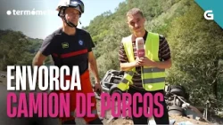 Envorca CAMIÓN de PORCOS en Nogueira de Ramuín | O TERMÓMETRO