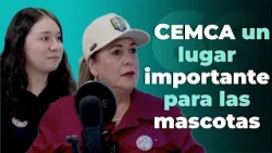 CEMCA un lugar importante para las mascotas