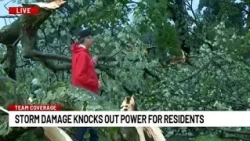 Storm takes down trees, causes power outages in Milford