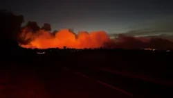 Francia, la foresta di Fontainebleau si fa rossa: l'incendio spaventoso mangia 800 ettari di bosco