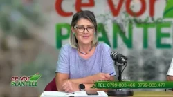 CE VOR PLANTELE CHRISTINA GHIBU 03 08 2026 P1