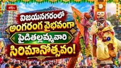 వైభవంగా శ్రీశ్రీశ్రీ పైడితల్లమ్మవారి సిరిమాను జాతర మహోత్సవం | Pydithalli Ammavaru Sirimanothsavam