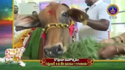Promo || Goopooja Mahotsavam || SVBC TTD