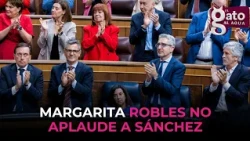 Defense Minister does not applaud during Sánchez's address
