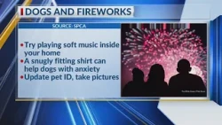 Tips for calm pets this Fourth of July weekend