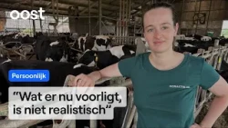 If nitrogen plans go through, Marieke has to sell her farm | RTV Oost
