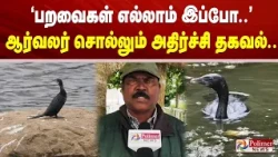 "பறவைகள் எல்லாம் இப்போ.."  - ஆர்வலர் சொல்லும் அதிர்ச்சி தகவல்..