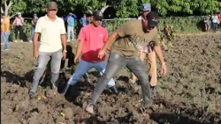Decisive Effort Campaign Held in Honor of Commander-in-Chief Fidel's Centennial