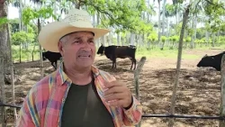 La Marina Farm shows high results in meat and milk production.