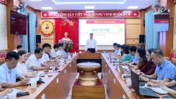 Thanh Hoa Television