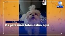 Petzap