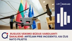 Rusijos veikimo būdus vardijanti Šakalienė: artėjam prie incidento, kai žus NATO pilietis