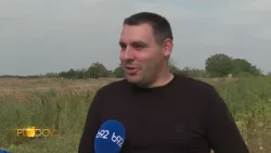 Plodovi - 17.10.2026.