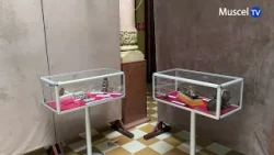 jurnal MUSCEL TV 13 07 2026 EXPOZIȚII ȘI ACTIVITĂȚI DE ZILELE MUNICIPIULUI LA MUZEUL MUNICIPAL