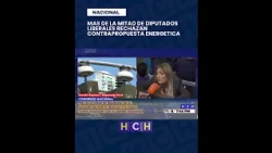 ¡Gato encerrado! la mitad de los liberales no están de acuerdo con reforma de energía