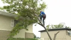 Were much-needed storms across Salt Lake Valley worth the mess?
