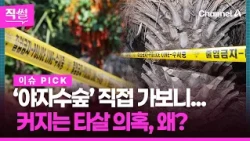 We Visited the 'Palm Tree Forest' Ourselves... Why Are Suspicions of Foul Play Growing? 👀 [Jiksul]