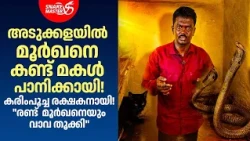 കരിമ്പൂച്ച രക്ഷകനായി; "ഒന്നല്ല, രണ്ട് മൂർഖൻ!" | Cobra Rescue by Vava Suresh | Snakemaster EP 1218