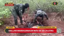 Marijuana found in over 20 stashes