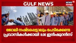 UAEയിൽ ജോലി നഷ്ടപ്പെട്ടാലും പേടിക്കേണ്ട, പ്രവാസികൾക്കായി ILOE ഇൻഷുറൻസ് | ILOE Insurance |N18G