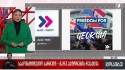 საკონსტიტუციო სარჩელი - გარე აქტორების რეაქცია