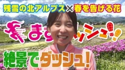 #02 Dashing Through the Scenery! Moss Phlox and the Snow-Capped Northern Alps (Broadcast 5/9)