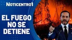 Wildfires rage: environmental emergency grows | Canal 1 News