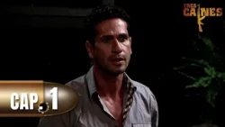Three Cains - Chapter 1 - Revenge