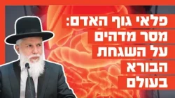 Wonders of the Human Body: An Amazing Message About the Creator's Providence in the World