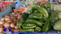 Monitoreo de precios en la Feria del Agricultor y Artesano