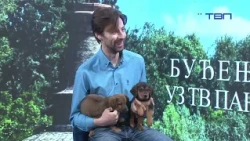 Uroš Dražević, gost "Jutarnjeg programa" - 20260814 - TVP