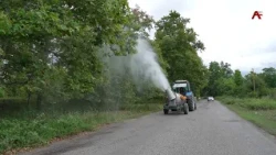 Tree treatment against the fall webworm begins in Gulrypsh District