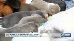 'This family stole our hearts': Abandoned McPherson puppies adopted