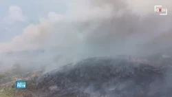 Gargano, la pineta carbonizzata: il drone mostra la devastazione dell'ultimo incendio