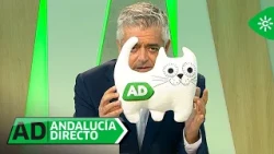 Andalucía Directo | Jueves 25 de junio