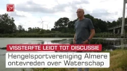 De massale vissterfte in de Oostvaardersplassen leidt tot discussie | Omroep Flevoland