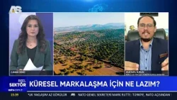 REEL SEKTÖR / KÖKLÜ ZEYTİNCİLİK YÖNETİM KURULU BAŞKANI MUSTAFA KÜRLEK / AS TV