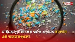 মাইক্রোপ্লাস্টিকের ক্ষতি এড়াতে বদলান এই অভ্যাসগুলো | Bijoy TV