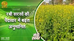 Mandi Khabar: Increase in Rabi Mustard Production Estimated | DD Kisan | 10/24/2026