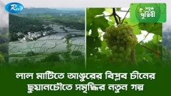 লাল মাটিতে আঙুরের বিপ্লব চীনের ছুয়ানচৌতে সমৃদ্ধির নতুন গল্প | Sobuj Prithibe Clips | Rtv