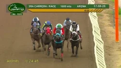 Hipódromo Monterrico   3ra Carrera 17 Agosto 26