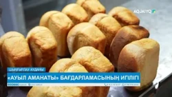 «АУЫЛ АМАНАТЫ» БАҒДАРЛАМАСЫНЫҢ ИГІЛІГІ