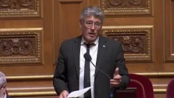 "What’s next? Legalizing grenades?": The Senate faces the issue of wolf predation